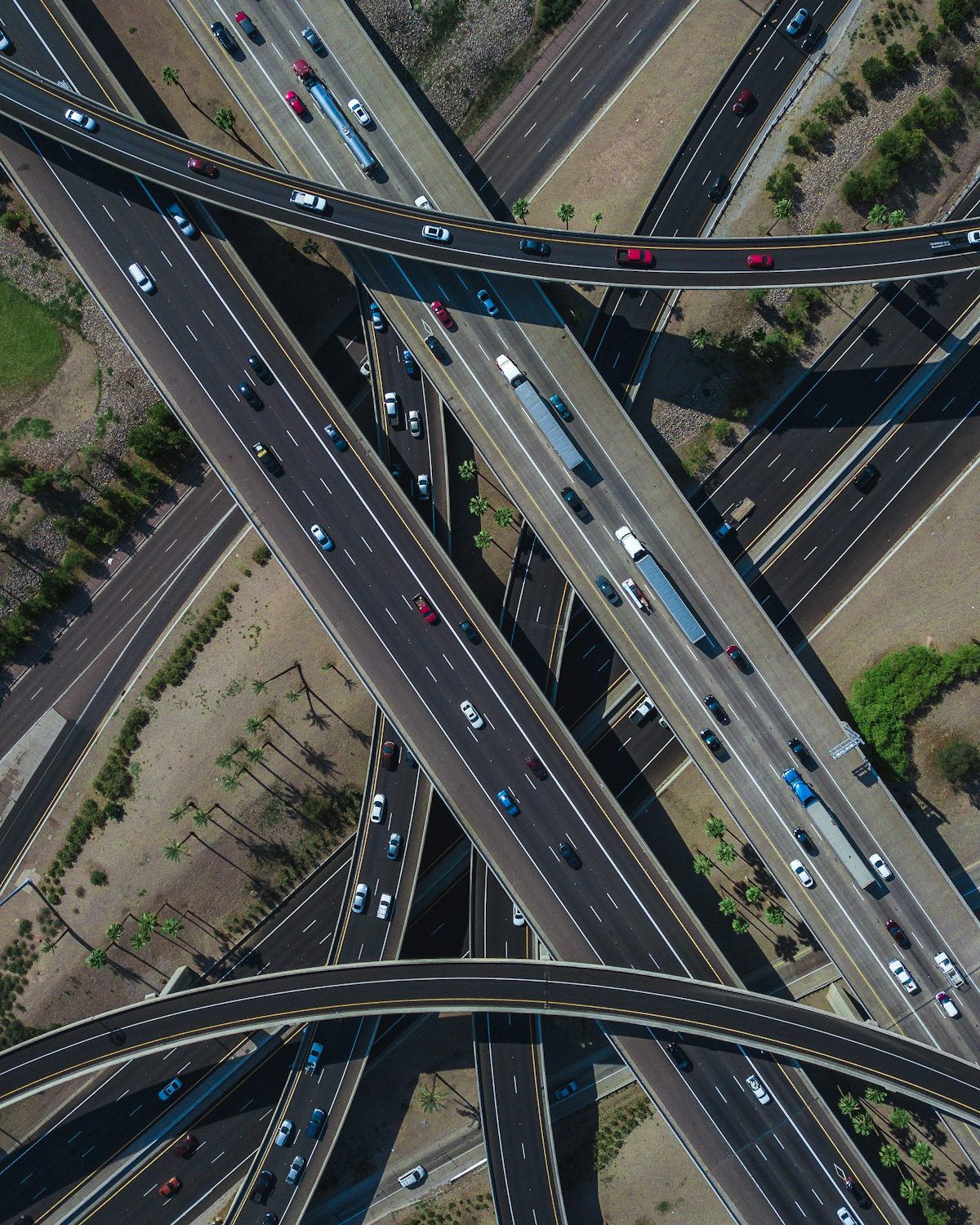 Navigating the Immigration Process in Houston: A Step-by-Step Guide